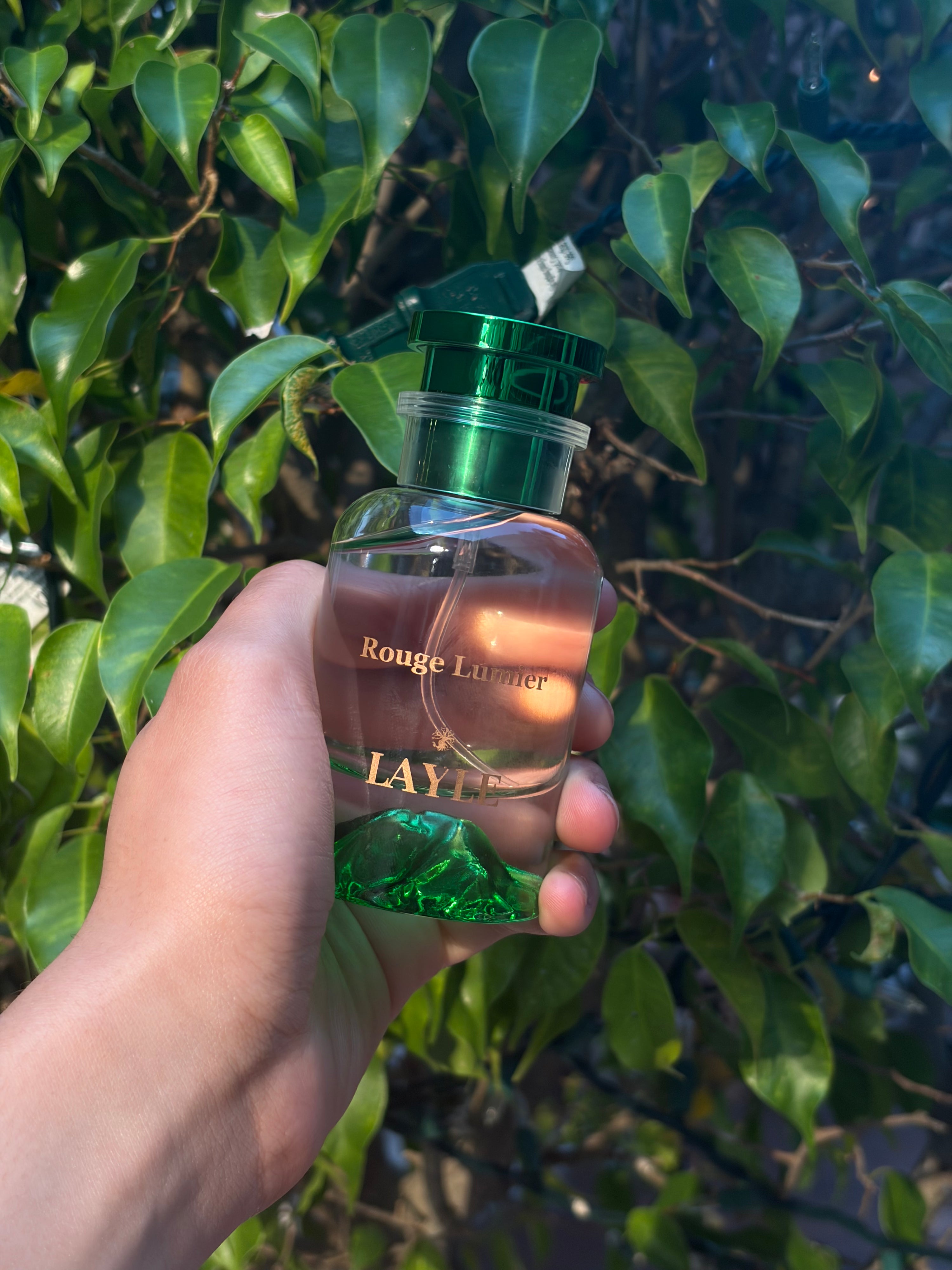 Rogue Lumière by LAYLE – Luxury Amber-Floral Fragrance